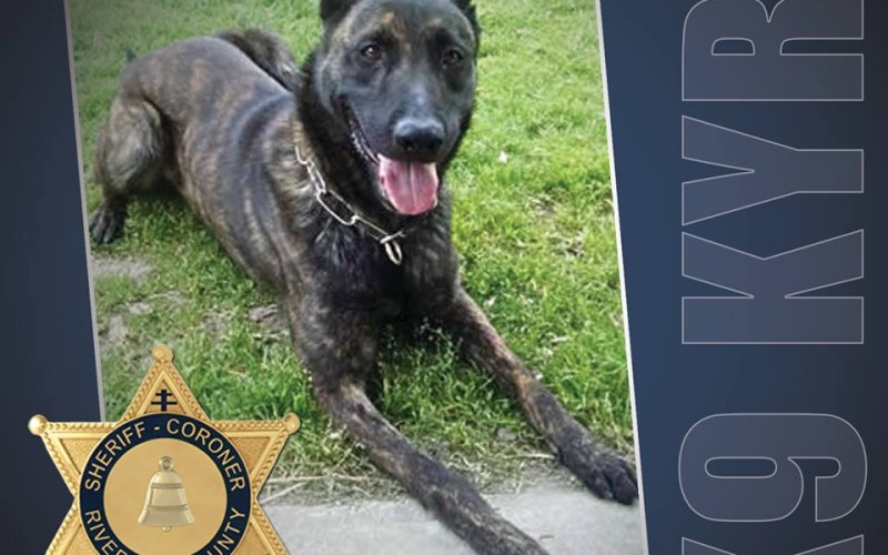 San Jacinto Police Department Welcomes New K-9 Officer after Tragic Death of “Sultan”