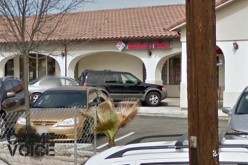 Man Attempts Robbery at Domino’s Pizza