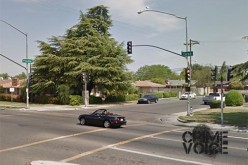 Gang Member Led Police on Chase in Stolen Vehicle