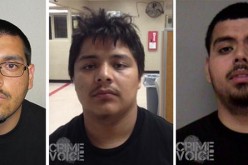 Wild night of theft ends in attempted murder