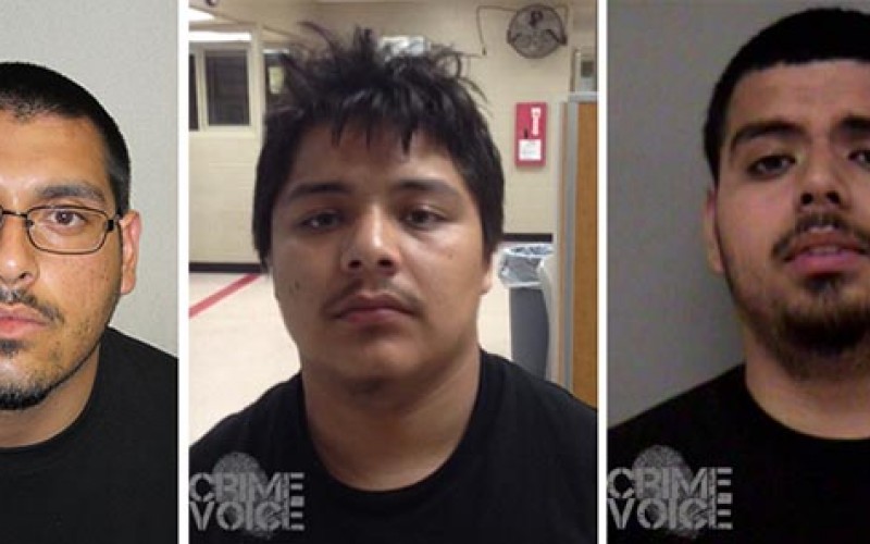 Wild night of theft ends in attempted murder
