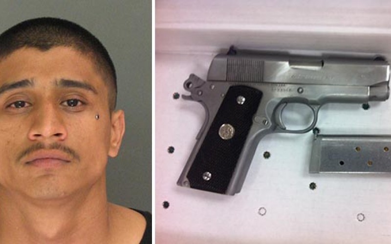 Faulty Taillight Leads to Jail Time