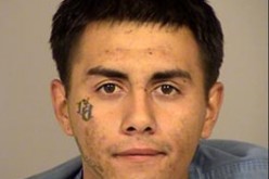 Serial Burglar Busted