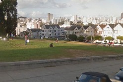 Dog Walker Gets Rabid, Arrested