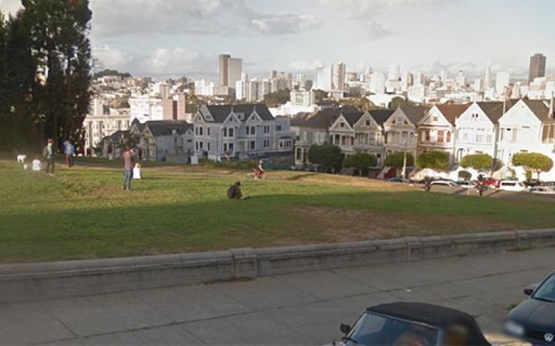 Dog Walker Gets Rabid, Arrested