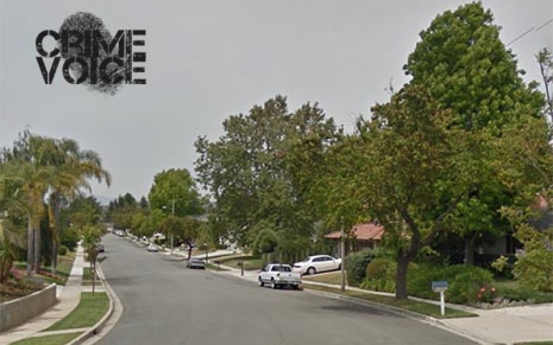 Scissor-Seeking Burglar Busted