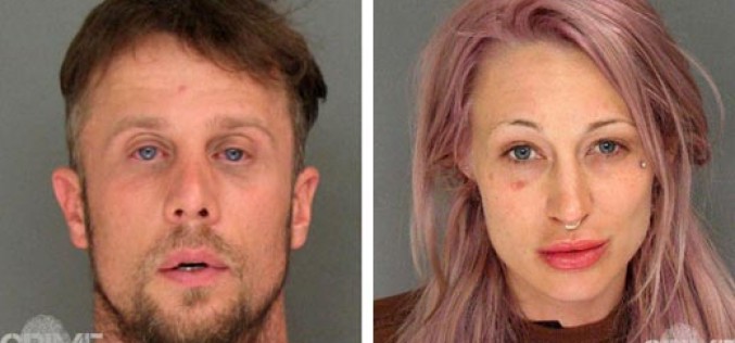 Domestic Violence Call Leads To Hash Oil Lab Discovery
