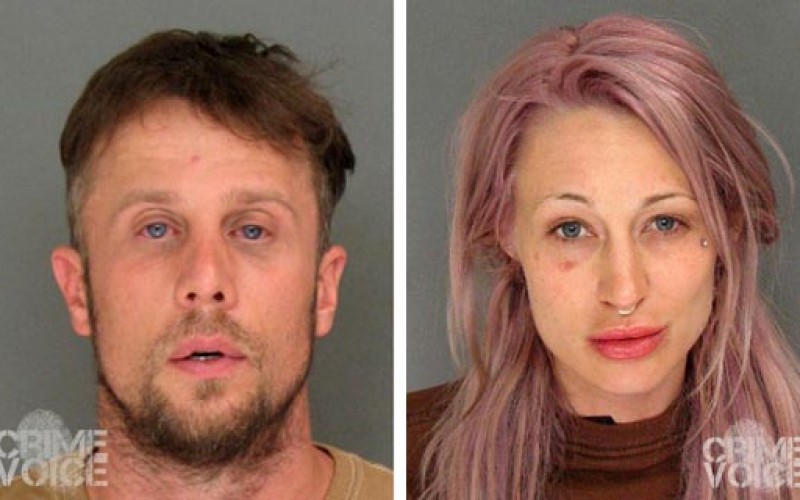 Domestic Violence Call Leads To Hash Oil Lab Discovery