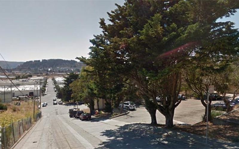 Domestic Altercation Leads to Arrest for Weapons, Marijuana Plants