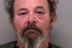 Madera domestic violence, false imprisonment arrest