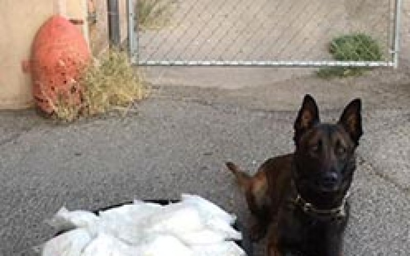 Tico Finds Meth on Pico Avenue