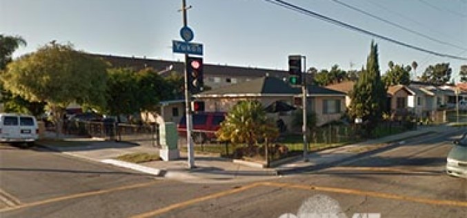 Guns, Drugs and Stop Signs — Oh, My!