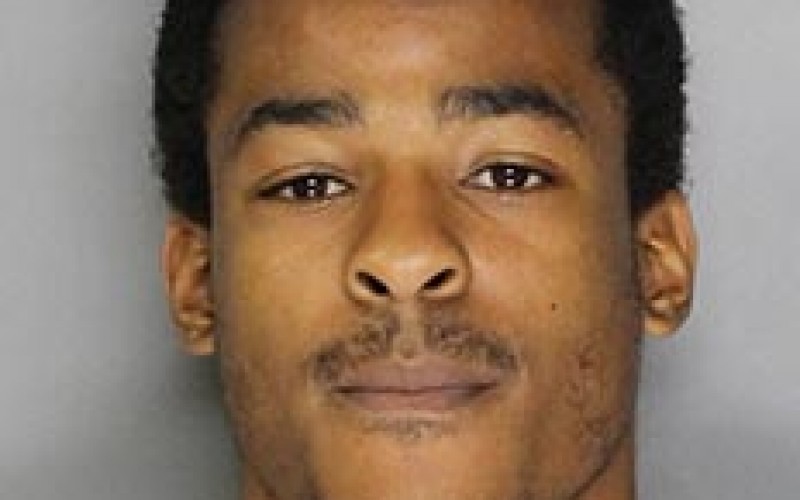 Man Arrested for Stabbing Pitbull Pup