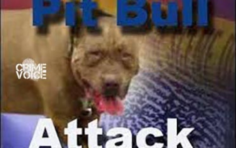 One Killed and One Injured in North Shore Dog Attack