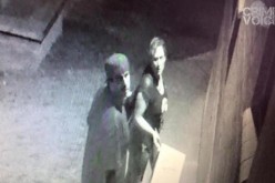 A Grinch Tried To Steal Christmas in Monterey