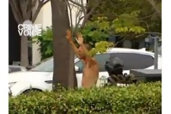 Would-be Bank Robber Arrested After Stand-off With Police