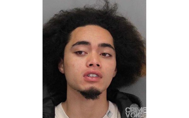Smash and grab car theft suspect arrested by Milpitas Police