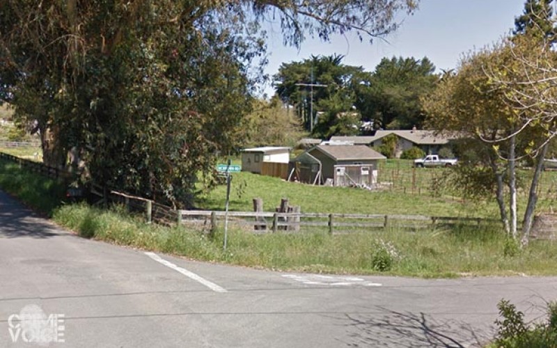 Two Arrested in Petaluma in Failed Attempt to Evade Officers