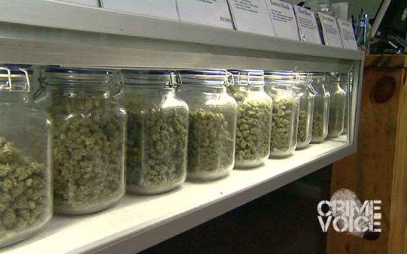 Three Arrested in Marijuana Dispensary Theft