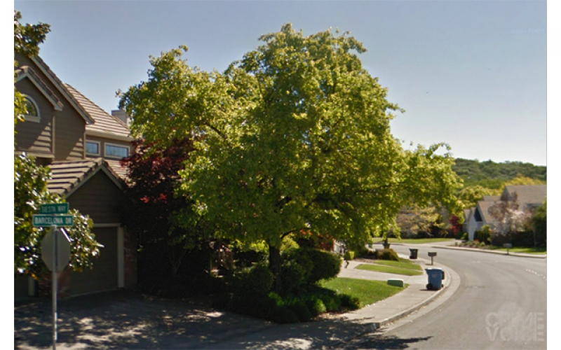 Vigilant UPS driver brings break in Santa Rosa burglary investigation