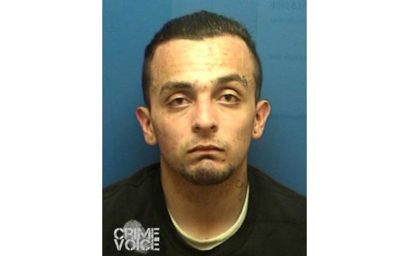 Unlicensed Driver Evades, Crashes into Patrol Car, Injures Cop