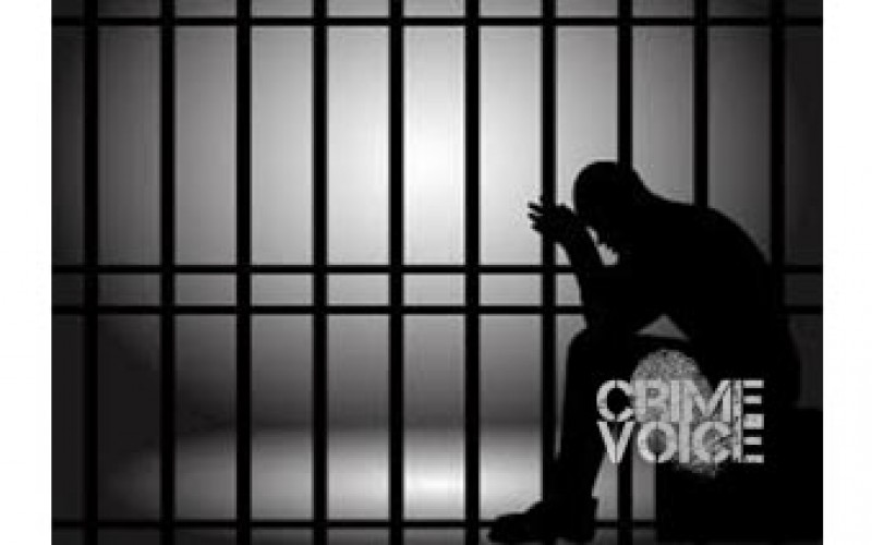 Toddler Shot with an Illegal Gun in the Bedroom – Wayward Adults Arrested