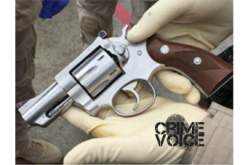 Bakersfield Crips gang member arrested during parole search