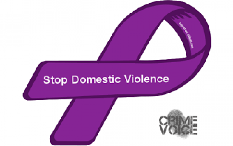 Domestic Violence Arrestee Found with Guns