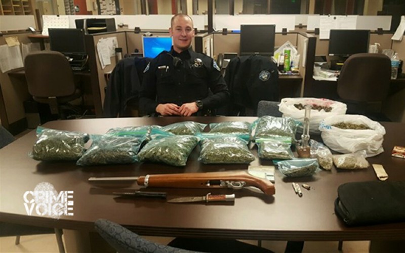 Marijuana and Gun Discovered During Routine Traffic Stop