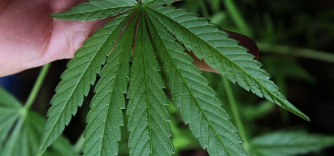 Siskiyou, Butte County Sheriff’s Office join up to clear out suspected drug lab