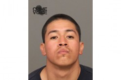 Nine Rounded up by Sheriff, Parole, Probation