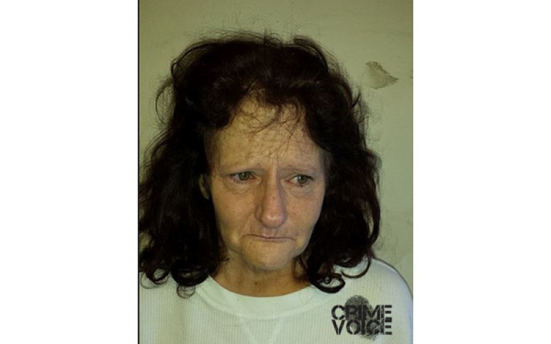 Insurance Scam Uncovered, Woman Arrested