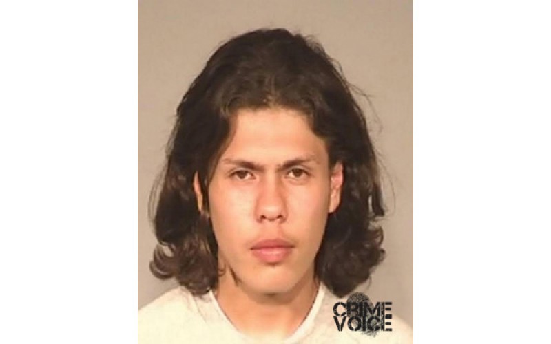 Robbery and Assault Suspect Arrested in Fresno