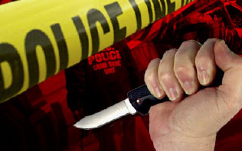 Son Allegedly Murders Mother, Stabs Two Other Victims, Steals a Car