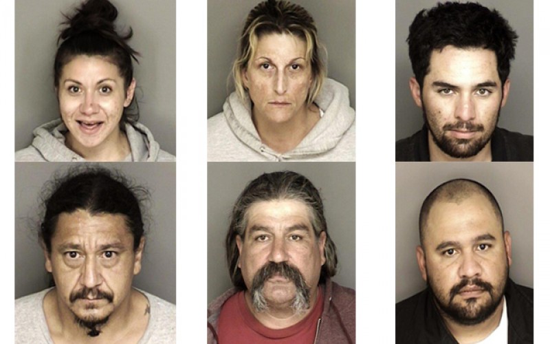 Series of Raids Net 6 Arrests