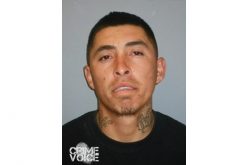 Car Chase Ends in Arrest