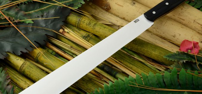 Machete-wielding Assailant Arrested