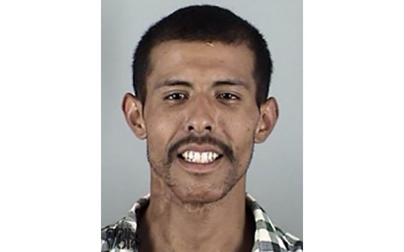 Fence-jumping Burglar Caught by Chopper & Dogs