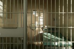 Tax Pro Embezzler Busted