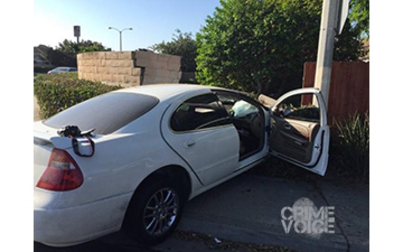 Wrong-way Car Chase Ends with Weapons Bust