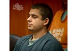 Cambrian Park Cat Killer Pleads Guilty to 21 felony animal cruelty charges