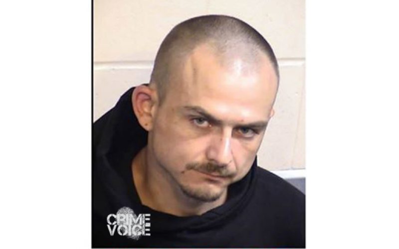 Parlier Auto Thief Busted