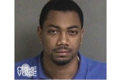 Burglary Suspect Caught after Stolen Car Crashes