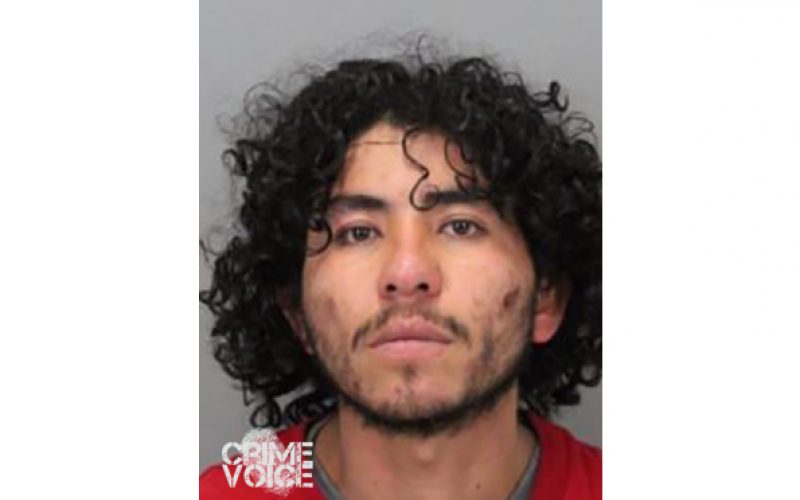 Purse-snatching suspects found in San Francisco after brazen daytime robbery