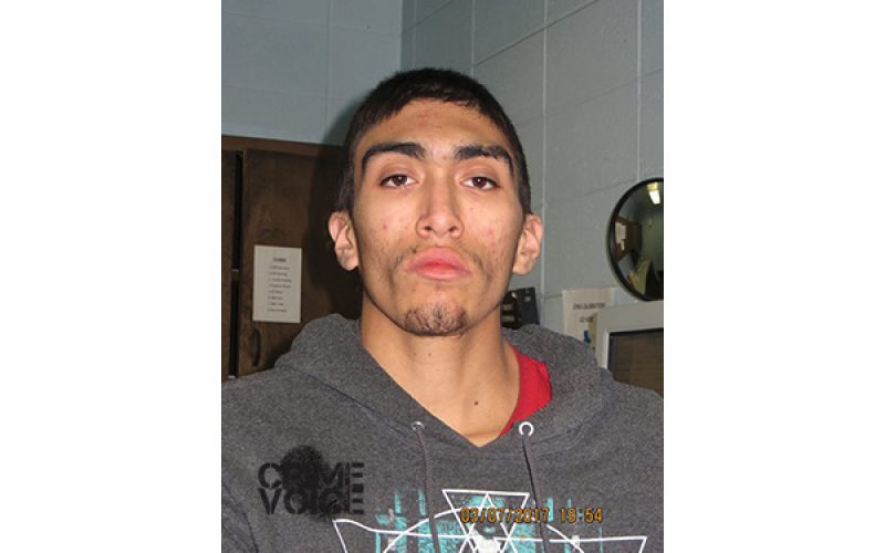 19-Year-Old Linked to at Least Nine Thefts