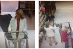 Purse Theft Suspect Identified, Turns Herself In