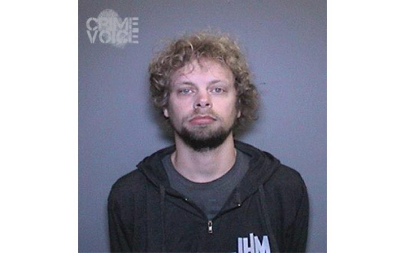 Youth Volunteer Arrested for Lewd Acts