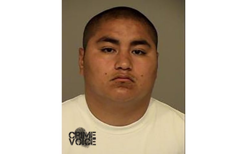 Trio Nabbed for Carjacking and Robbery