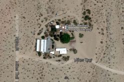 Deadly Shooting at Ridgecrest Kennel