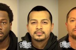 Avocado Thieves Arrested